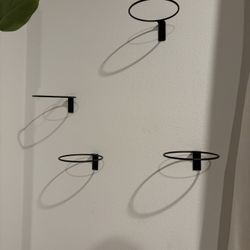 Plant holders