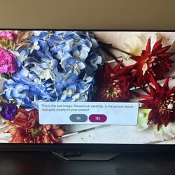 LG OLED 55 Inch Tv