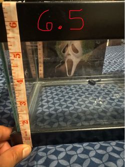 Glass enclosure