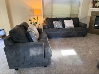 Sofa and loveseat couches