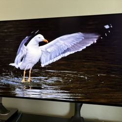 LG 32inch OLED Monitor (32GS95UE) For Sale!