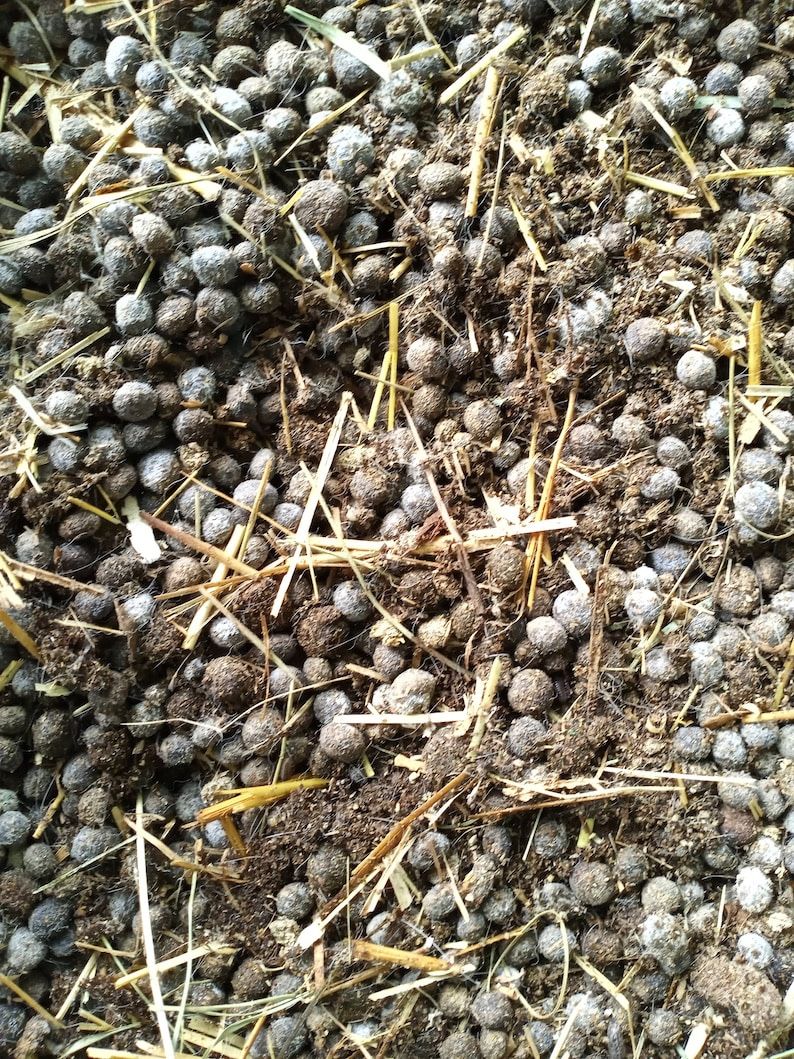 Rabbit Manure For Crops/Flowers