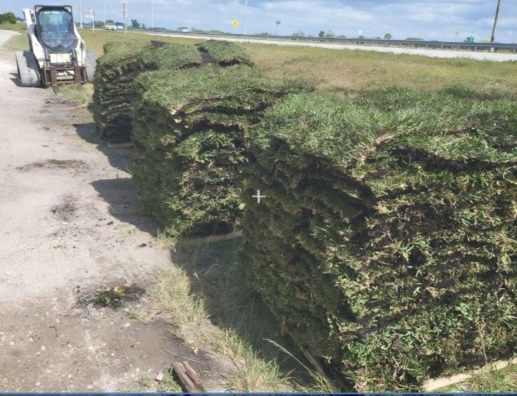 Sod For Sale Grade A Quality Palmetto 👌