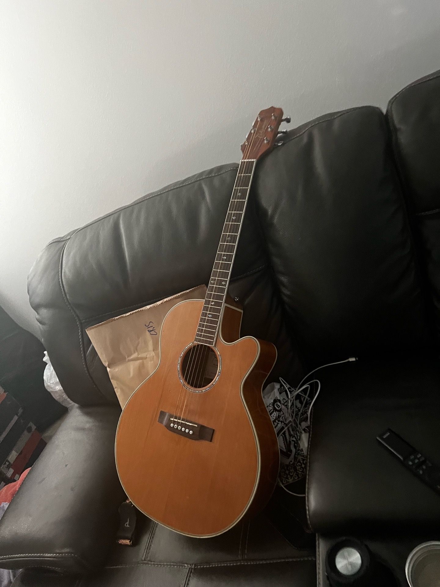 Takamine G Series With Hardcase