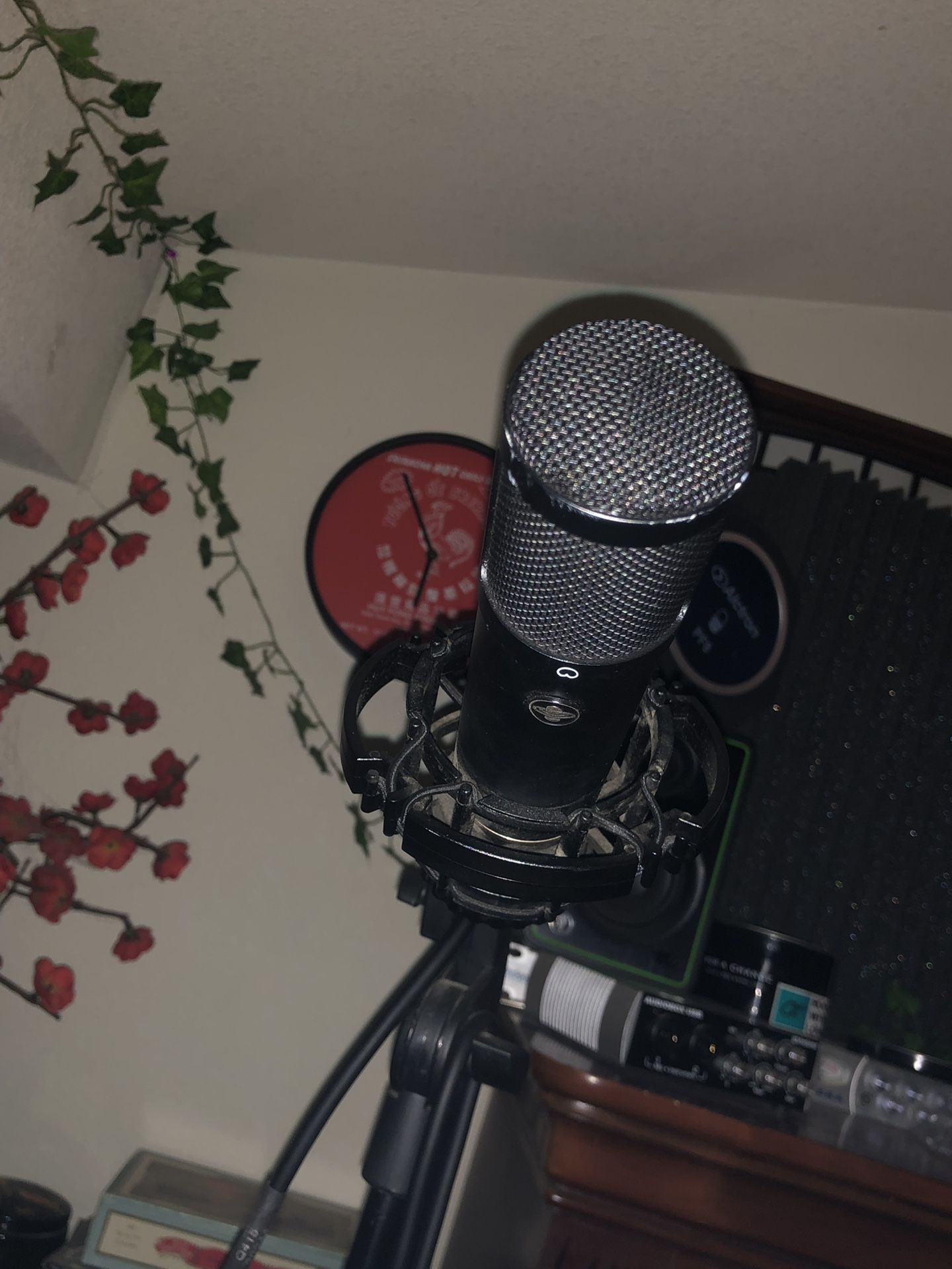 Great Recording Mic