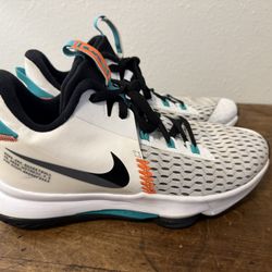 Men’s LeBron Shoes 9.5