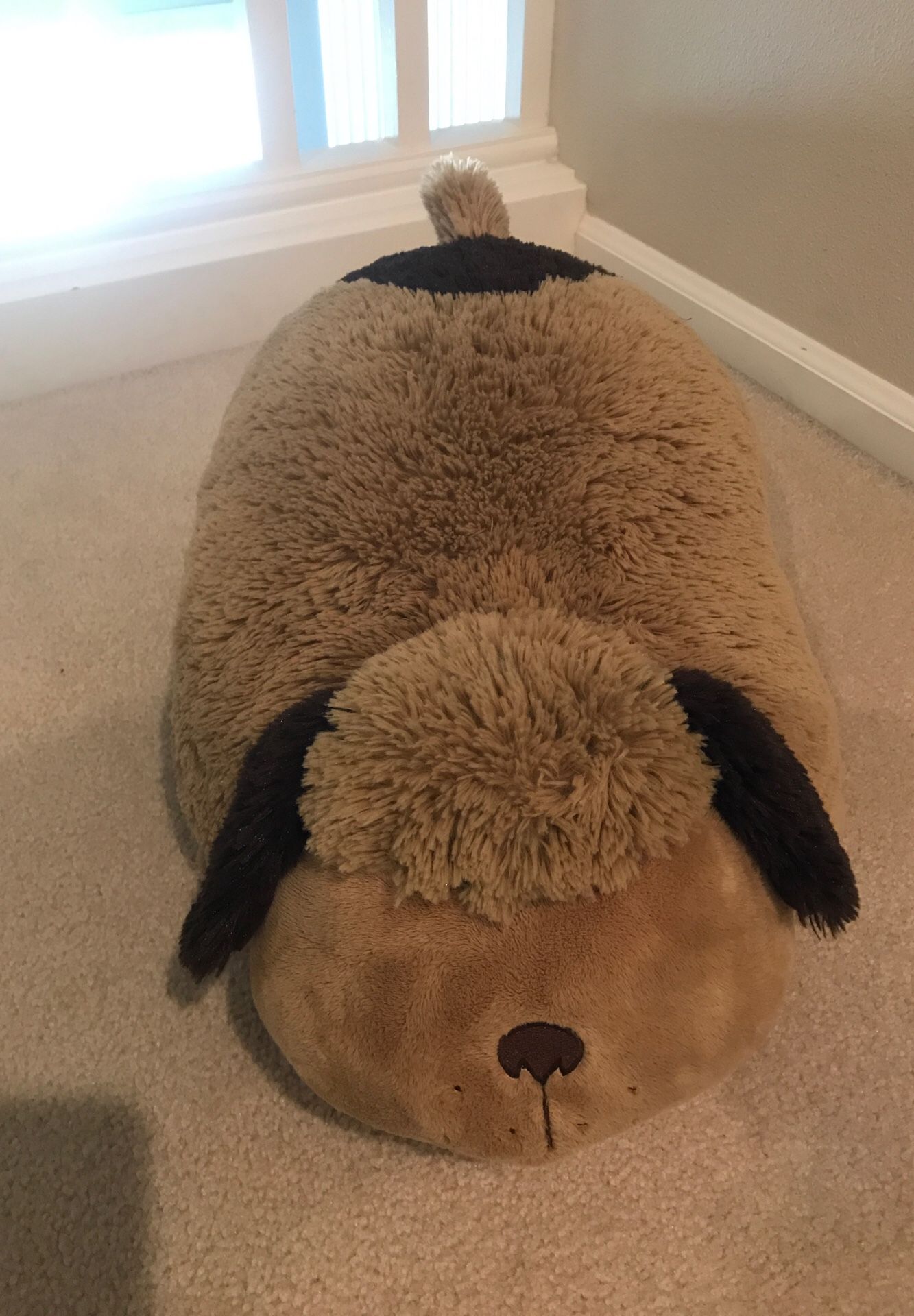 Pillow pet