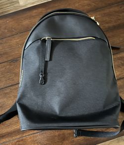 Troubadour backpack