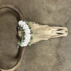 Resin Cow Skull 
