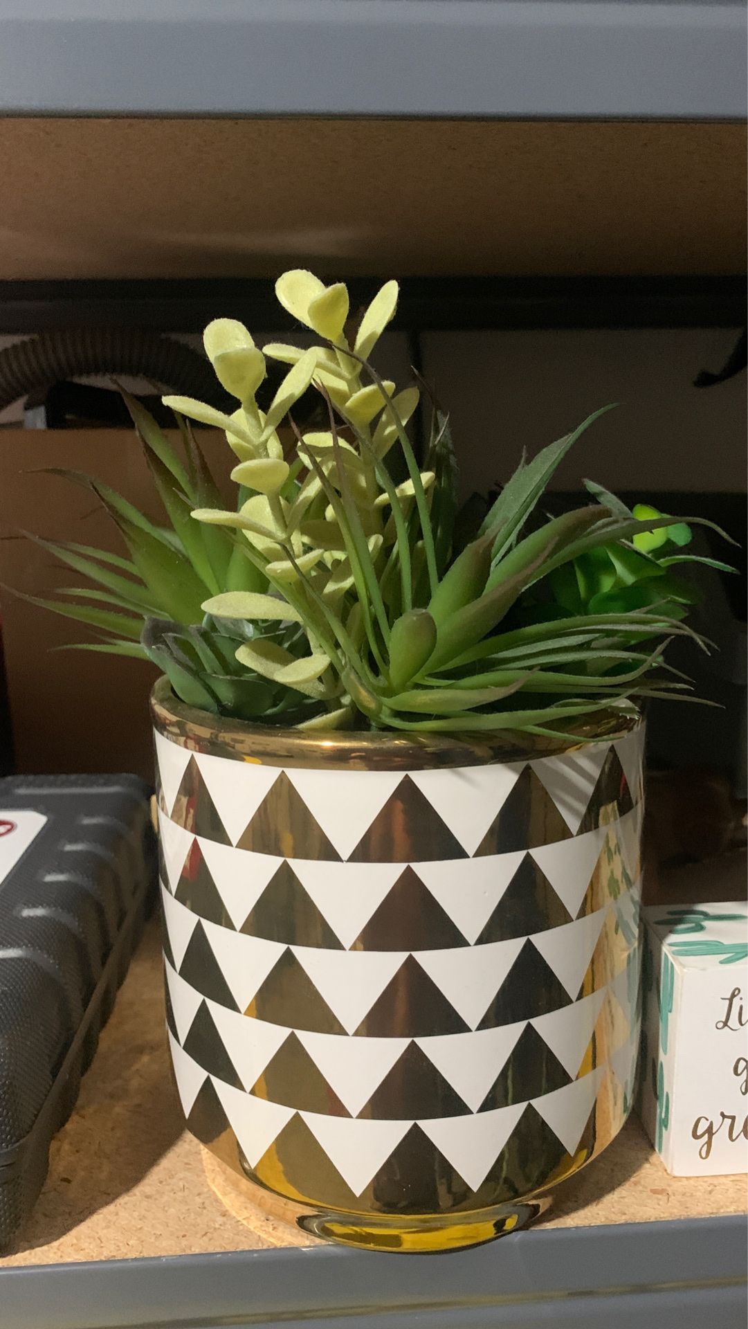 Fake Cactus plants and planter with sign