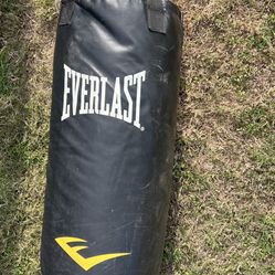 Ever Last Punching Bag