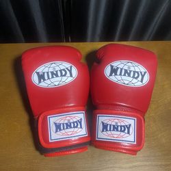 Authentic Japanese Windy Boxing/Muay Thai Gloves 12oz Red