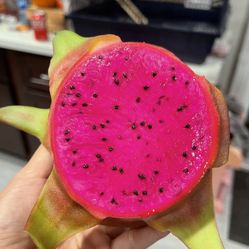 red Meet Dragon Fruit Plant 