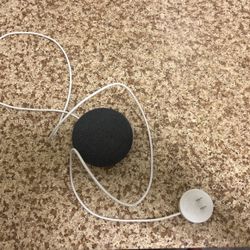 Google Nest