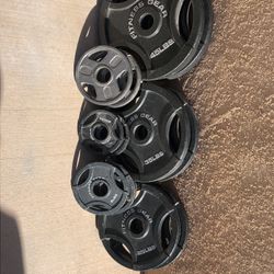 Fitness Gear Metal Weights/plates