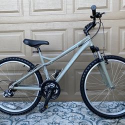 Giant Boulder SE 