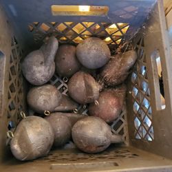 12lb Downrigger Balls 6+ Molds For 8 12 An 15lb Balls With Cast Pan 