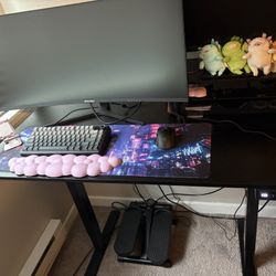 Standing Desk (Electric/Adjustable)