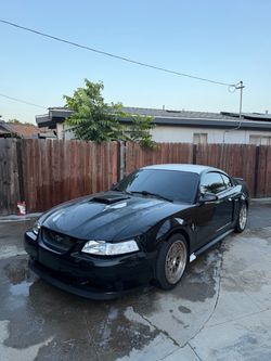 2003 Mach1