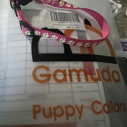 Dog Collars 