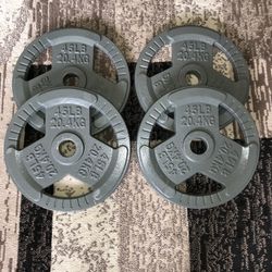 45 LB x2 Signature Fitness 2-Inch Cast Iron Weight Plates – Olympic Barbell Plates for Strength and Resistance Training