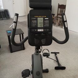 Gold Gym Exercise Bike 