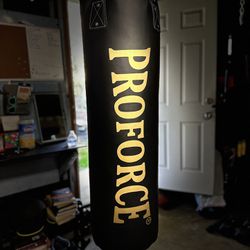 80 Lb Proforce Punching Bag