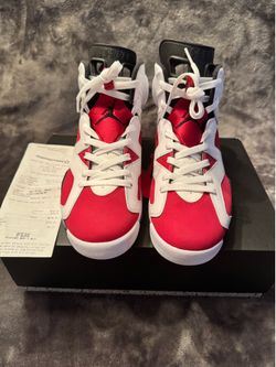 Jordan 6s