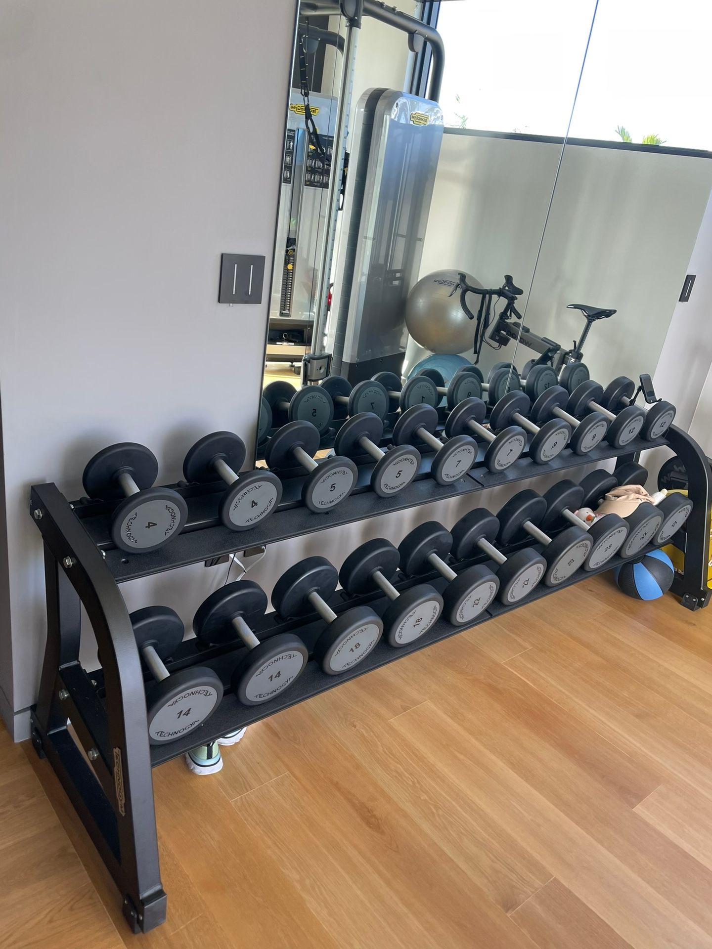 Technogym Weights