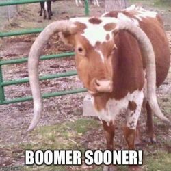 Cardinals AND Bengals TICKETS