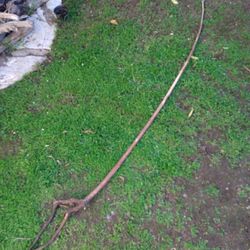 Genuine Driftwood For Aquariums Terrariums Decor Etc 