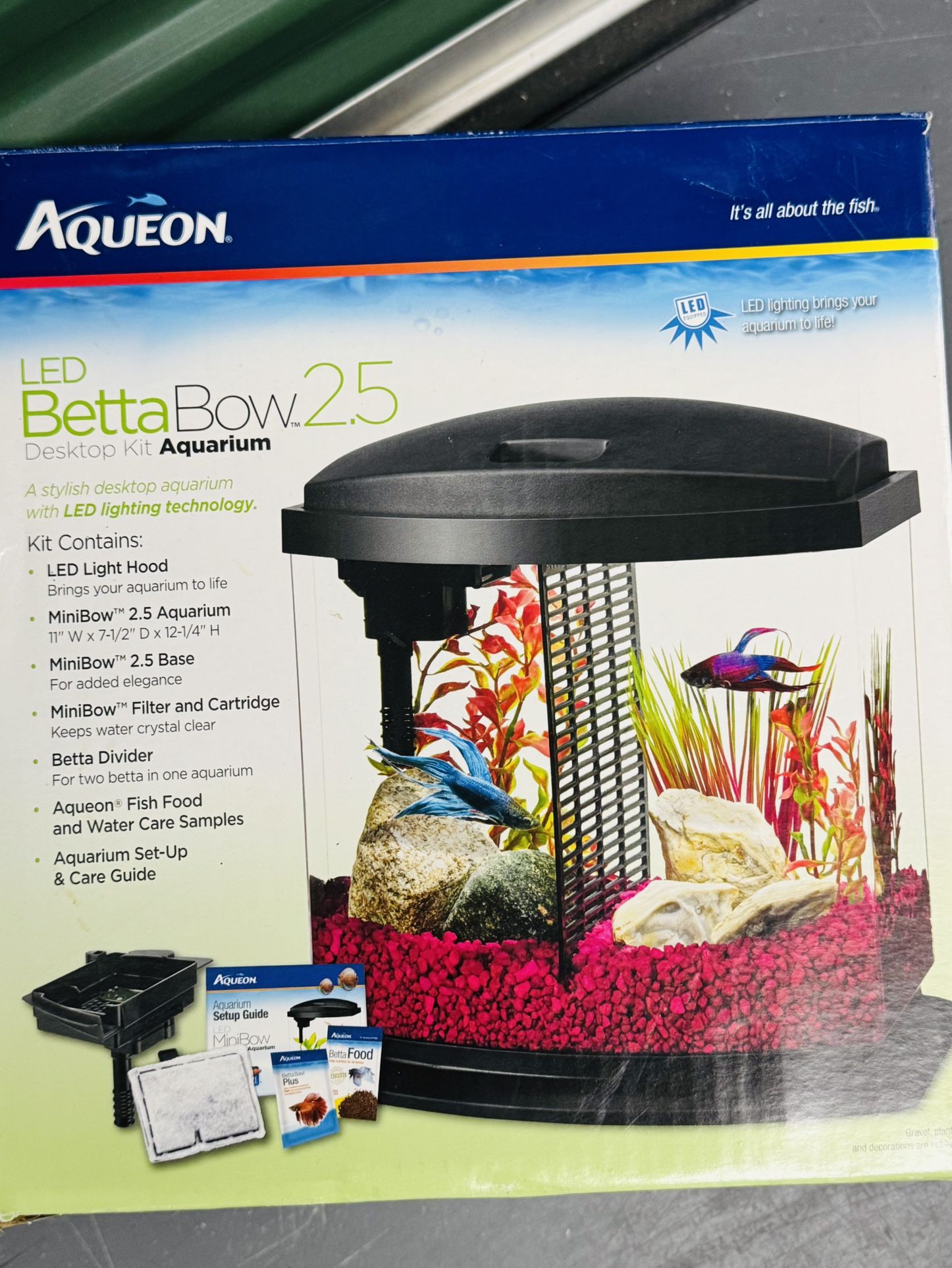 Betta Bow