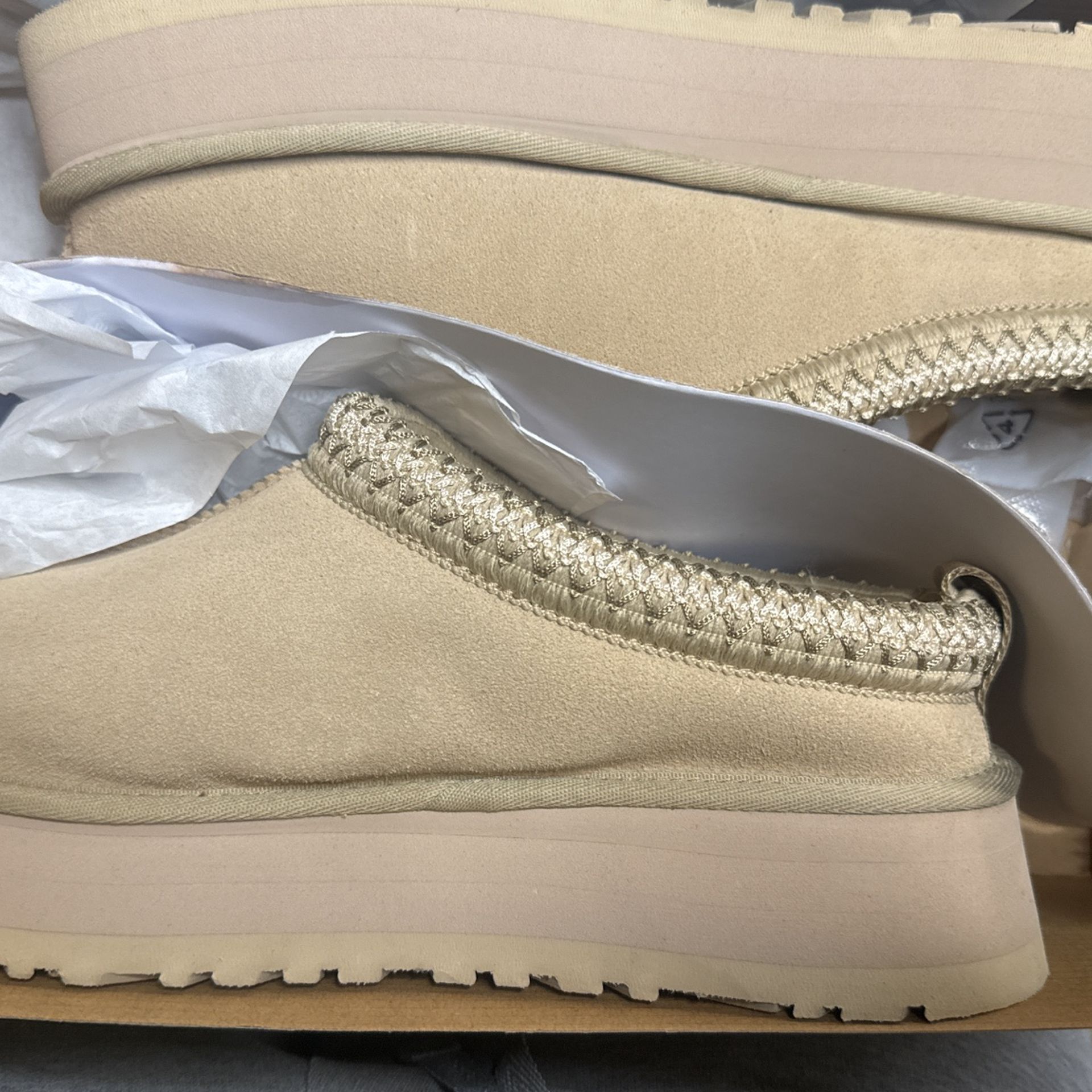 Tazman uggs 