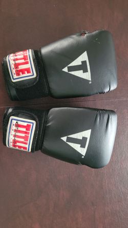 Sparing gloves, 12oz. Title Classics manf.