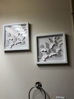 Butterfly shadow box