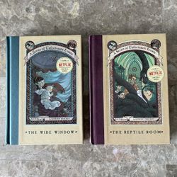 A Series Of Unfortunate Events Books 2 & 3