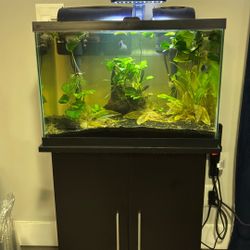 Aquarium 