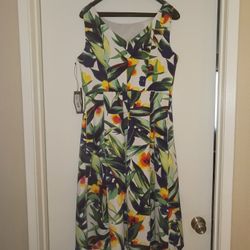 Woman's 👗 Dress ...