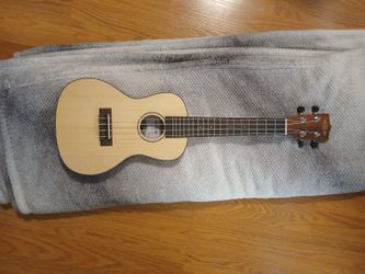 Kala Concert Ukellele  Mint Condition 