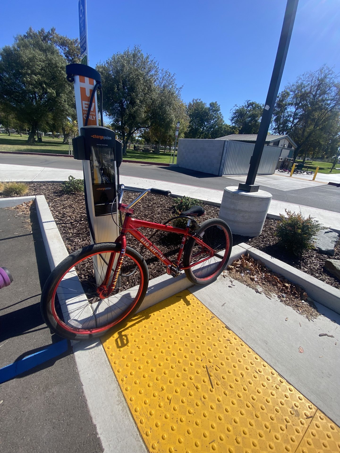 45 Year Anniversary Big Ripper 29inch