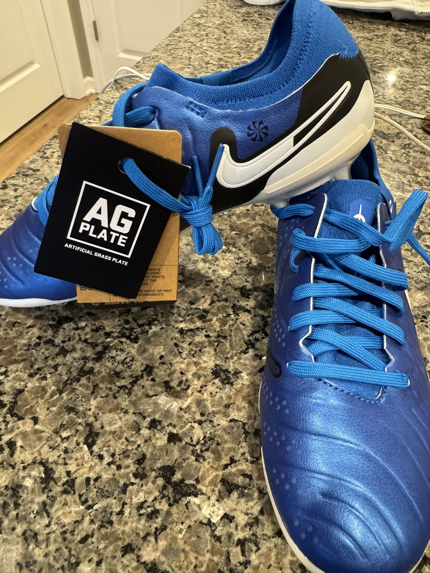 Nike Tiempo Legend 10 Pro AG
