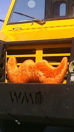 Looking to have a plush mustache made