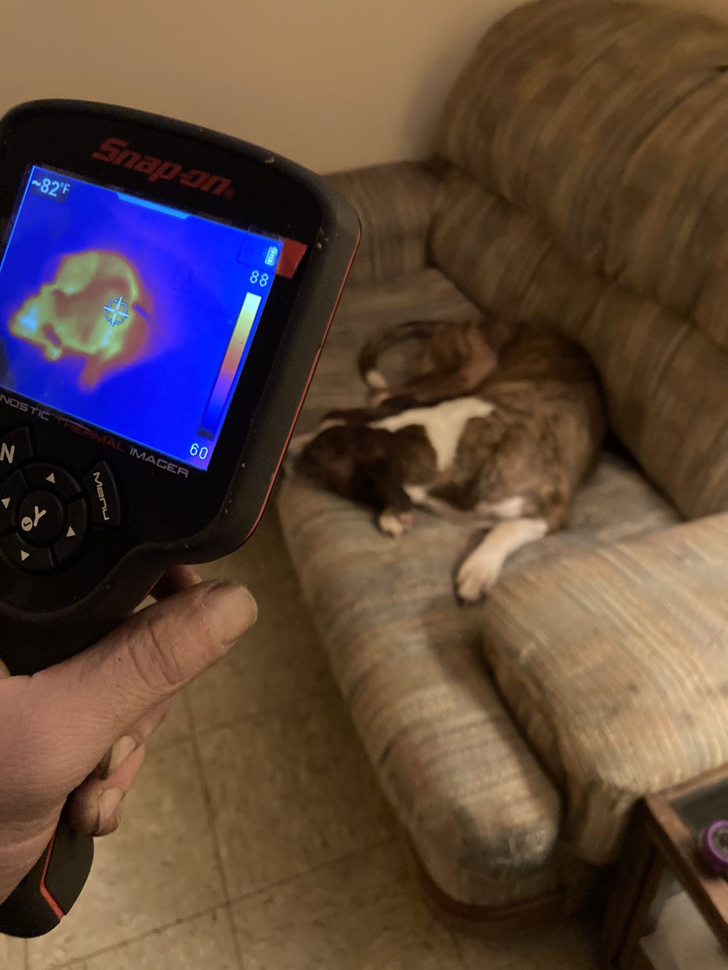 Diagnostics Thermal Imager Snap-On