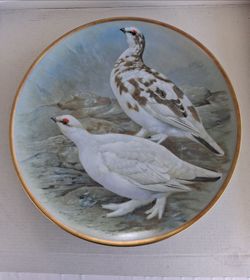 Gamebirds of the world