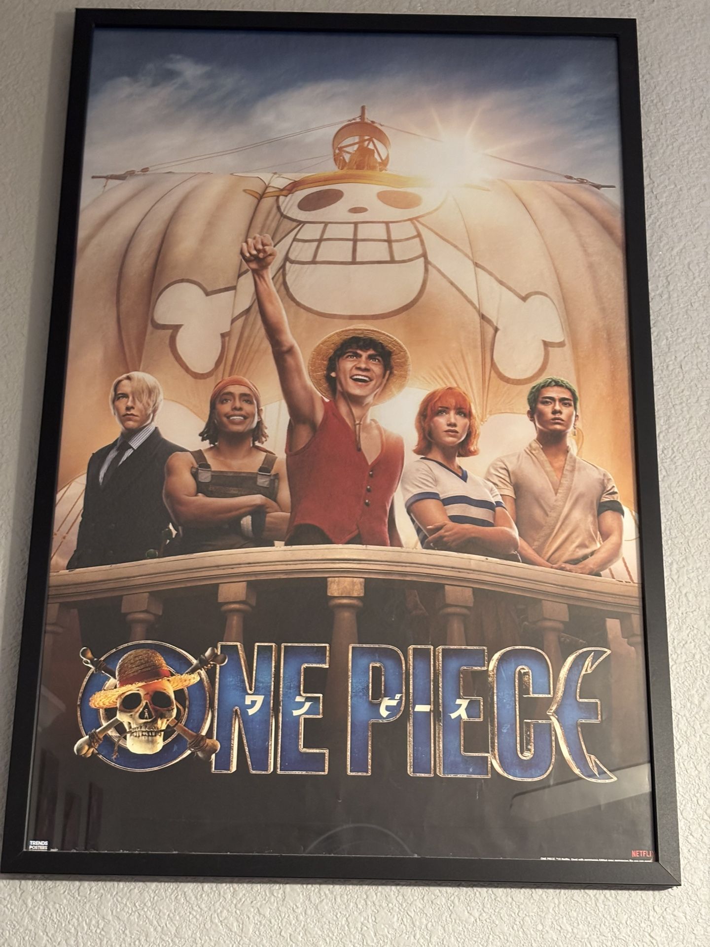 One Piece Framed Pictures 