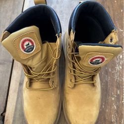 Redwing Irish Setters