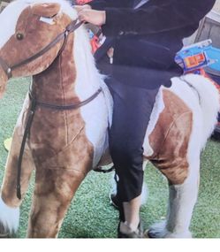 Caballito Gratis