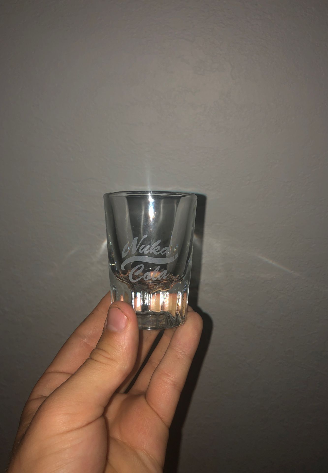 Fallout 4 Collectible Shot Glass