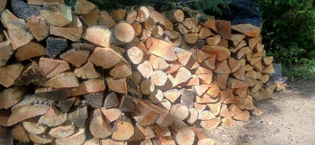 Ready To Burn Firewood