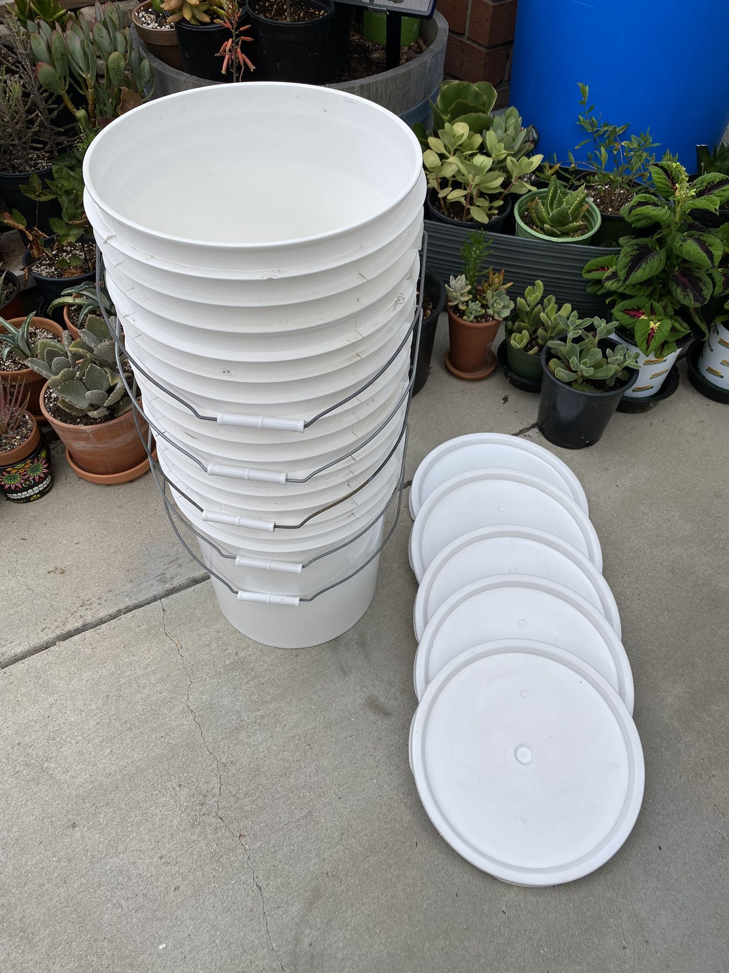 5 Gallon Bucket With Lid for Sale in San Diego, CA OfferUp